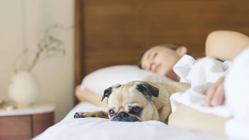 uma imagem de uma mulher a dormir numa cama com o seu cão