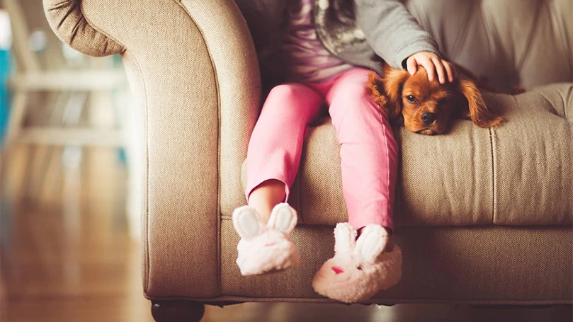 an image of a dog laying down in a bed with a girl