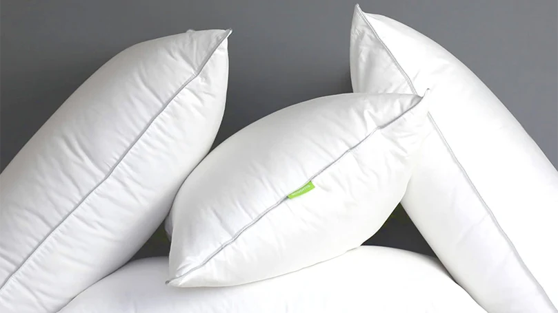 uma imagem de scooms hungarian goose down pillow review