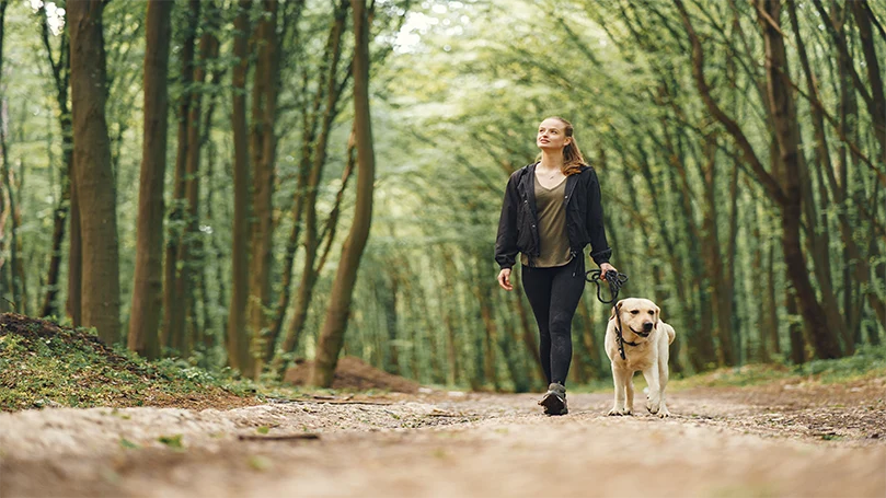 uma imagem de uma mulher acordada com o seu cão no bosque