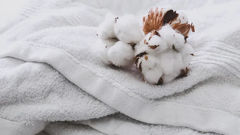 An image of cotton flowers on towels.