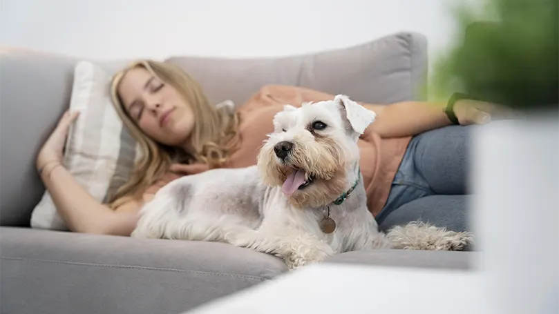 Uma imagem de uma mulher a dormir com um cão num sofá.