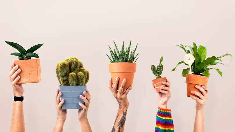 Uma imagem de pessoas a segurar vasos com plantas no ar