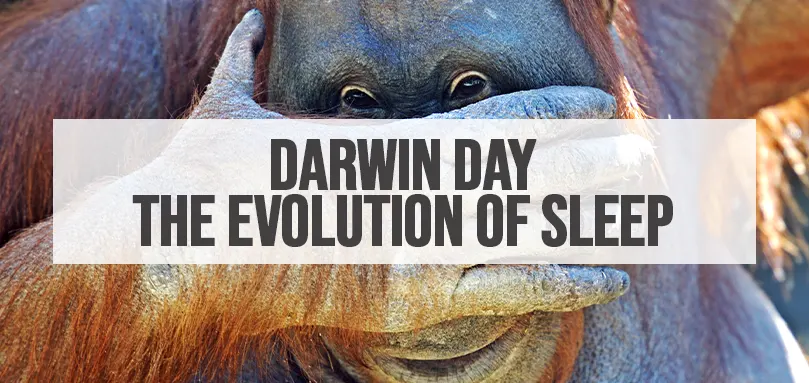 Imagem em destaque para o Dia de Darwin - A evolução do sono