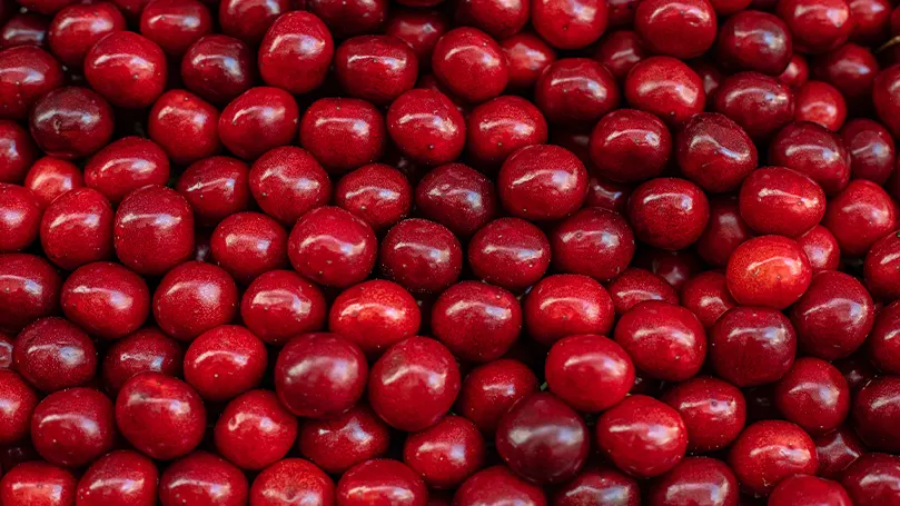 An image of a bunch of cherries