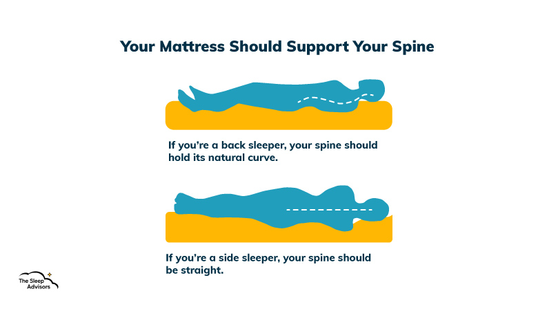 Uma ilustração do apoio da coluna vertebral