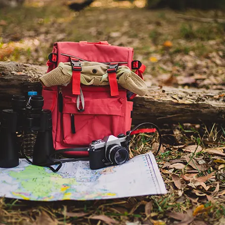 Uma imagem de um equipamento de campismo na natureza