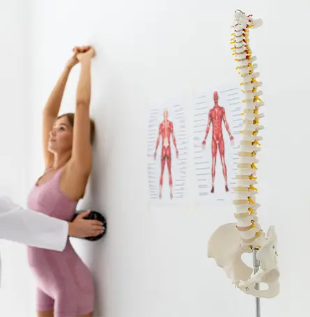 Imagem de uma mulher a fazer exercícios para a coluna vertebral