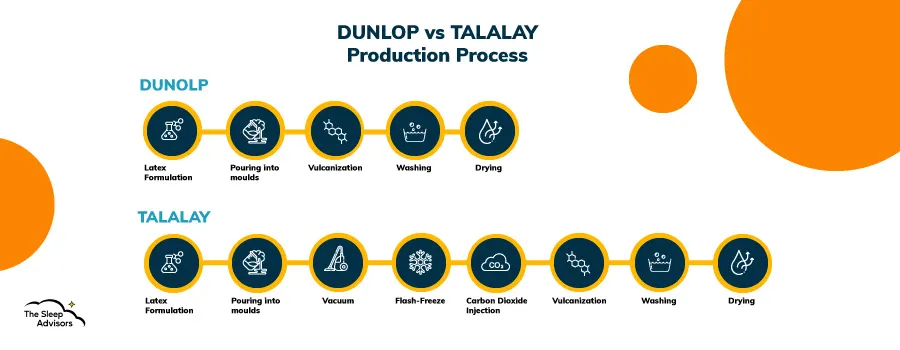 An infographic showcasing the differences between the production of Dunlop and Talalay latex